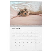Cute Kitten And Cat Pet Photo Kalender (Mar 2026)