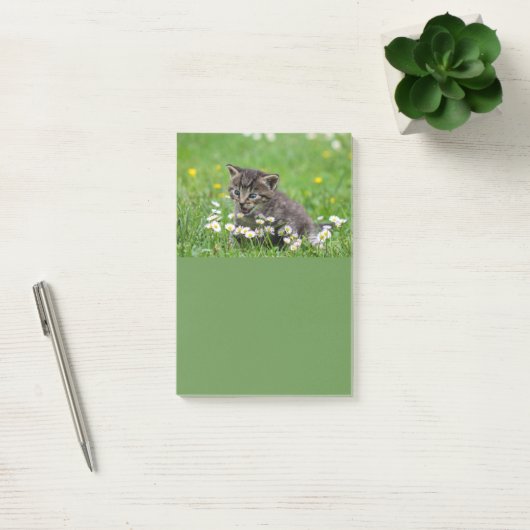 Cute Kitten Art Post-it® Notes (Kantoor)