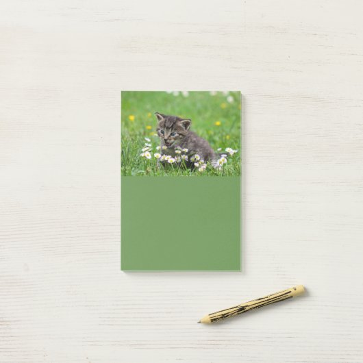 Cute Kitten Art Post-it® Notes (Op bureau)