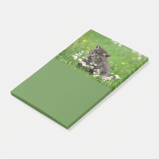 Cute Kitten Art Post-it® Notes (Schuin)