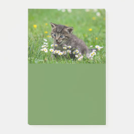 Cute Kitten Art Post-it® Notes