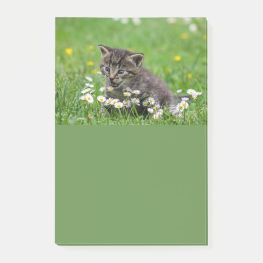 Cute Kitten Art Post-it® Notes (Voorkant)