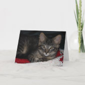 Cute Kitten Bedankt (Voorkant)