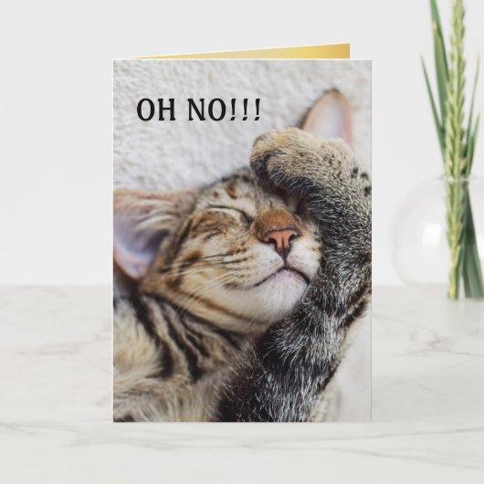 Cute Kitten Belated Birthday Kaart (Voorkant)