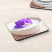 Cute Kitten Bier Onderzetter (Linkerzijde)