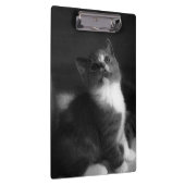 Cute Kitten Black en White Portret Photography Klembord (Rechts)