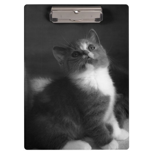Cute Kitten Black en White Portret Photography Klembord (Voorkant)