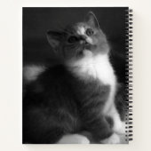 Cute Kitten Black en White Portret Photography Notitieboek (Achterkant)