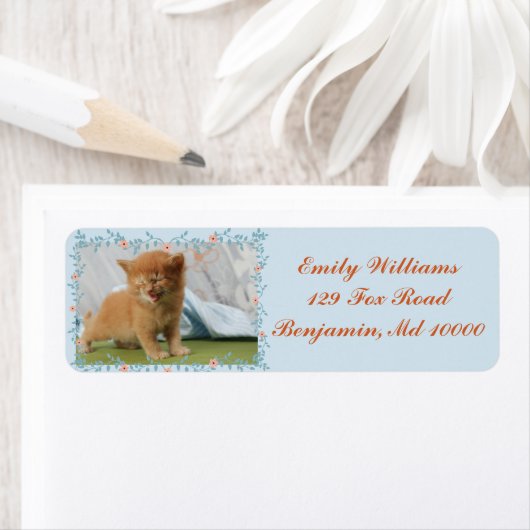 Cute Kitten Blue en Sinaasappel Etiket (Insitu)