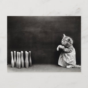 Cute  Kitten Bowling Briefkaart