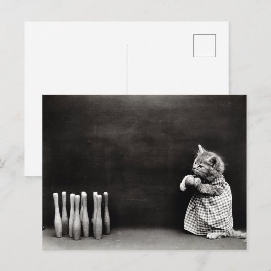 Cute  Kitten Bowling Briefkaart (Voorkant / Achterkant)