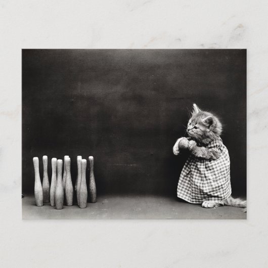 Cute  Kitten Bowling Briefkaart (Voorkant)