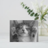 Cute Kitten Briefkaart (Staand voorkant)