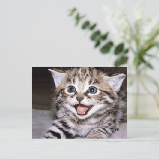 Cute Kitten Briefkaart (Staand voorkant)