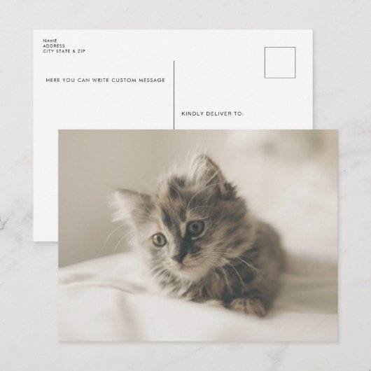 Cute Kitten Briefkaart (Voorkant / Achterkant)