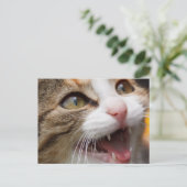 Cute Kitten Briefkaart (Staand voorkant)