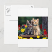 Cute-Kitten Briefkaart (Voorkant / Achterkant)