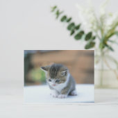 Cute Kitten Briefkaart (Staand voorkant)