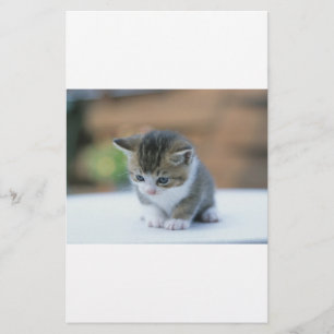 Cute Kitten Briefpapier