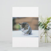 Cute Kitten Briefpapier (Staand voorkant)