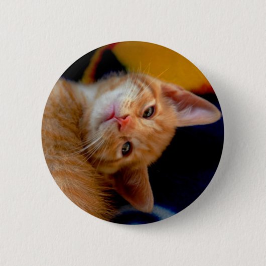 Cute Kitten Button (Voorkant)