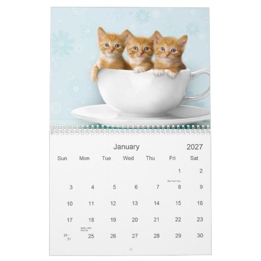 Cute Kitten Calendar Kalender (Jan 2027)
