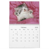 Cute Kitten Calendar Kalender (Feb 2026)