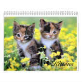 Cute Kitten Calendar Kalender (Hoes)
