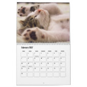 Cute Kitten Calendar Kalender (Feb 2027)