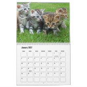 Cute Kitten Calendar Kalender (Jan 2027)