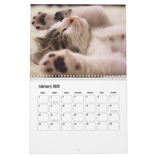 Cute Kitten Calendar Kalender (Feb 2026)