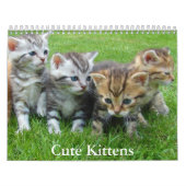 Cute Kitten Calendar Kalender (Hoes)