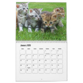 Cute Kitten Calendar Kalender (Jan 2026)