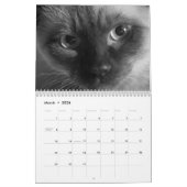 Cute kitten calender for 2026 kalender (Mar 2026)
