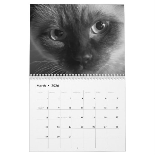 Cute kitten calender for 2026 kalender (Mar 2026)