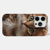 Cute Kitten Case-Mate iPhone Case (Achterkant (horizontaal))