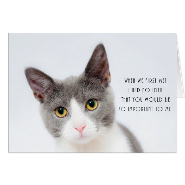 Cute Kitten Cat Romantic Love Birthday Card (Voorkant Horizontaal)