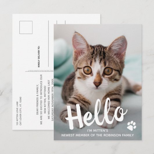 Cute Kitten Custom Cat Photo Hallo New Pet Aankondigingskaart (Voorkant / Achterkant)