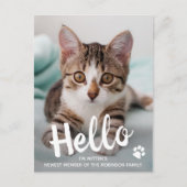 Cute Kitten Custom Cat Photo Hallo New Pet Aankondigingskaart (Voorkant)