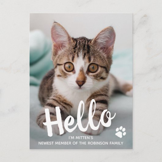 Cute Kitten Custom Cat Photo Hallo New Pet  Aankondigingskaart (Voorkant)