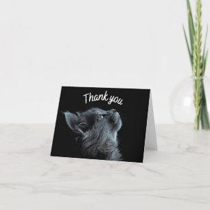 Cute kitten DANK JE GRATIS Bedankkaart