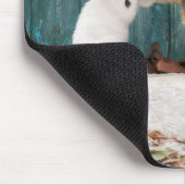 Cute Kitten die op mam's staart.. grappige katfoto Muismat (Hoek)