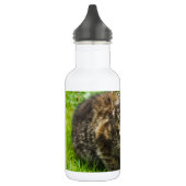 Cute kitten drink uit een kom waterfles  (Links)