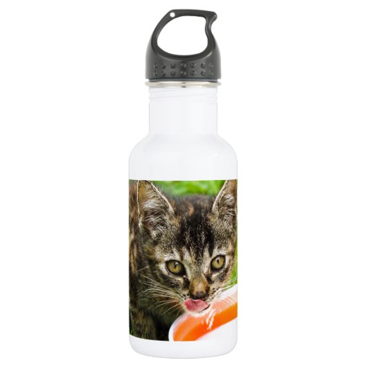 Cute kitten drink uit een kom waterfles  (Voorkant)
