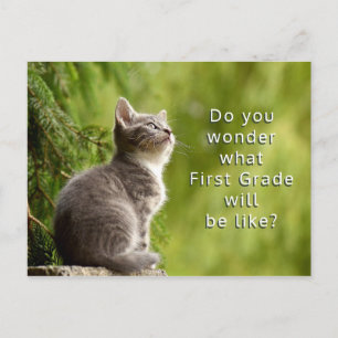 Cute Kitten Elementary Students Welcome Briefkaart