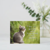 Cute Kitten Elementary Students Welcome Briefkaart (Staand voorkant)