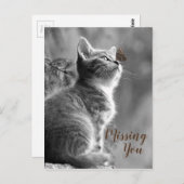 Cute Kitten en Butterfly Briefkaart (Voorkant / Achterkant)