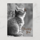 Cute Kitten en Butterfly Briefkaart (Voorkant)