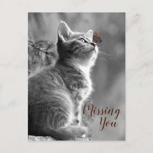 Cute Kitten en Butterfly Briefkaart (Voorkant)