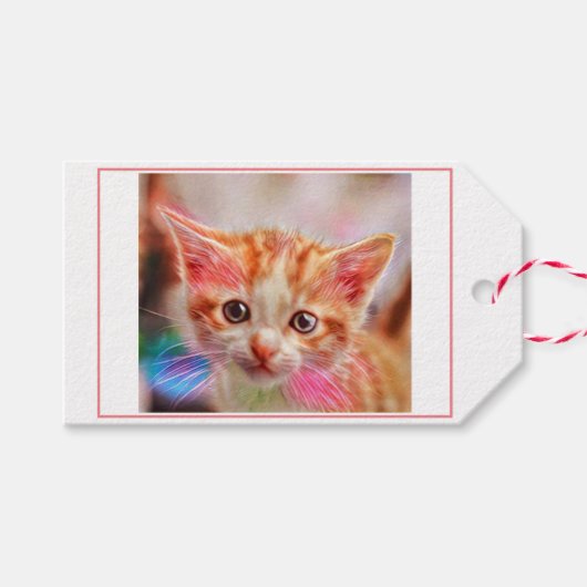 Cute Kitten Face Ginger Cat Cadeaulabel (Voorkant (Horizontaal))